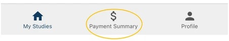 Payment Summary