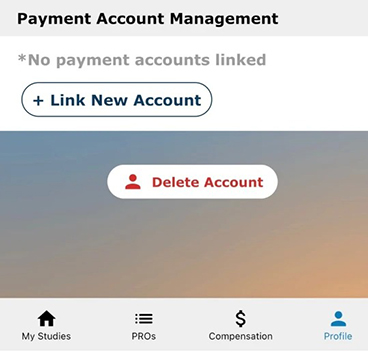 Payment Account